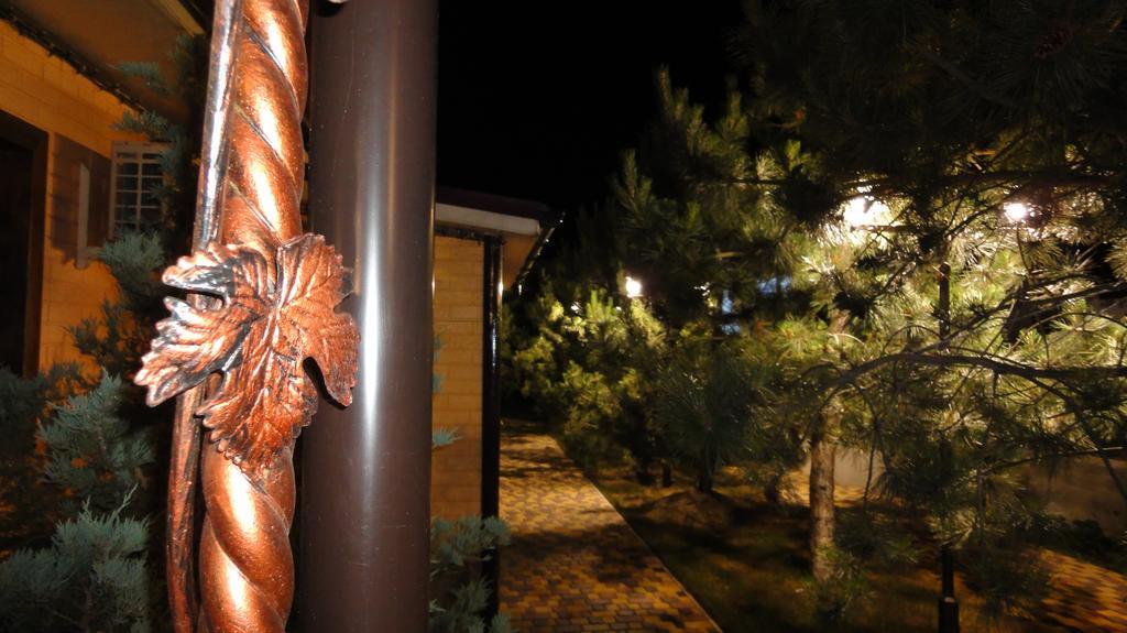 Villa Sosnovy Bor Zatoka Exterior foto